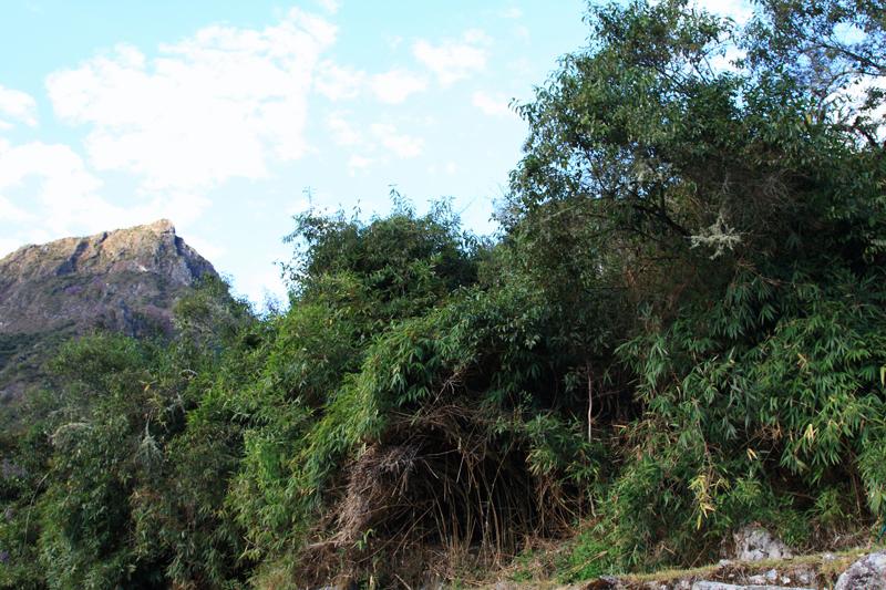 508-Machupicchu,11 luglio 2013.JPG